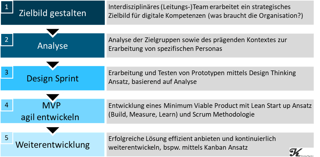 vorgehen digitale Kompetenzen.png